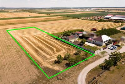 Teren intravilan de 3000 mp, în Nojorid - 2