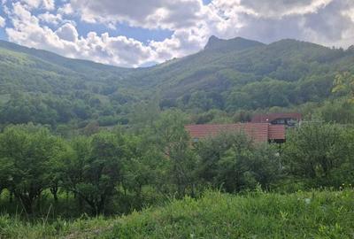 Spațiu comercial, în Poiana Galdei - 5