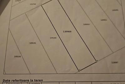 Teren de 1467 mp, în Seceani - 3