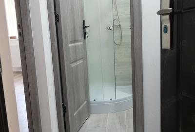 Garsonieră decomandată în Buziașului
