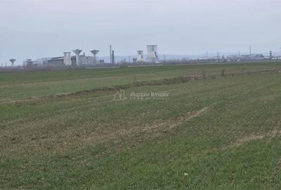 Teren de 7900 mp, în Ulmi - 6