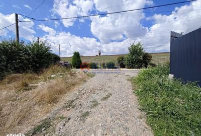 Spațiu comercial, în Valu lui Traian