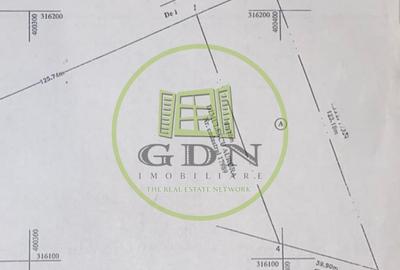 Teren Construcții intravilan de 3600 mp, în Cernele - 2