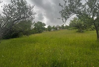 Teren de 30 mp, în Preluca Veche - 1