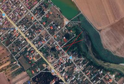 Teren de 10000 mp, în Frumușani - 1