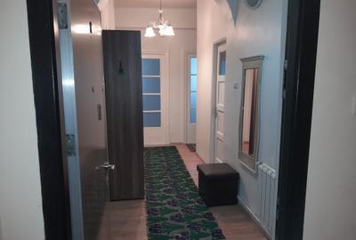 Apartament cu 3 camere semidecomandat, mobilat în Tineretului - 4