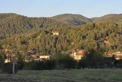 Teren de 1000 mp, în Central