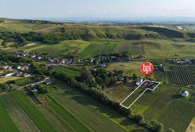 Teren Construcții intravilan de 2000 mp, în Hreațca - 4