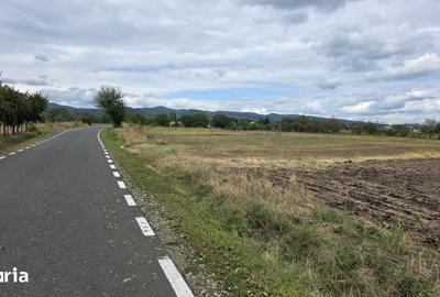 Teren de 3000 mp, în Cârligele