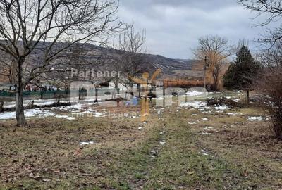Spațiu comercial, în Bogdana - 4