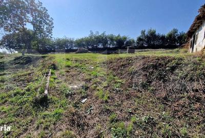 Casă cu Teren 1618 Mp în Mihai Viteazu