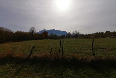 Teren agricol extravilan de 13000 mp, în Sohodol - 4