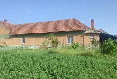 Casă cu 6 camere cu Teren 3000 Mp în Balinț - 3