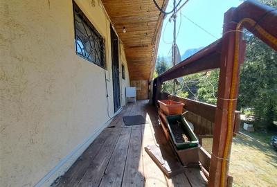 Casă individuală cu 7 camere cu Teren 1660 Mp în Pietroasa - 3