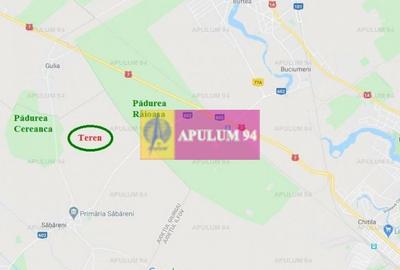 Teren Construcții intravilan de 16400 mp, în Săbăreni - 2