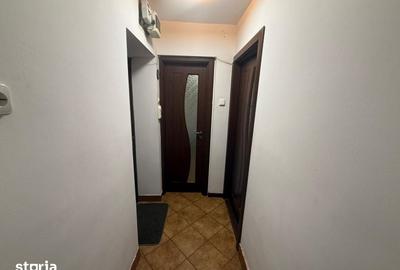 Apartament cu 2 camere decomandat în Valea Rosie