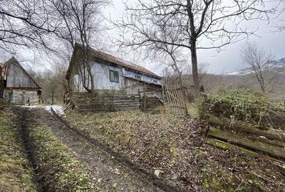 Casă cu 2 camere în Lupșa