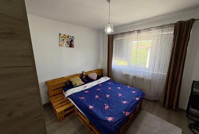Apartament cu 2 camere decomandat în Crișeni - 5