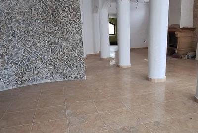 Spațiu comercial, de 350 mp, în Ultracentral - 3