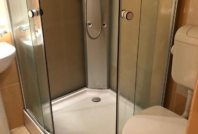 Apartament cu 4 camere decomandat, mobilat în Zorilor - 11