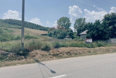 Teren Construcții intravilan de 3700 mp, în Coțofenii din Dos - 3