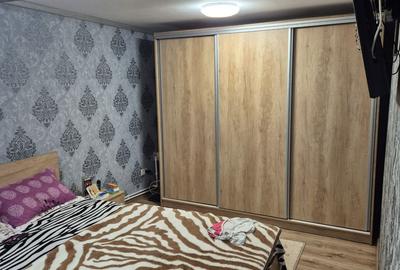 Casă cu 5 camere cu Teren 5000 Mp în Vidra - 16