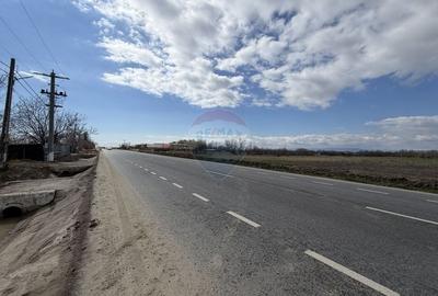 Teren agricol intravilan de 9431 mp, în Bizighești - 7