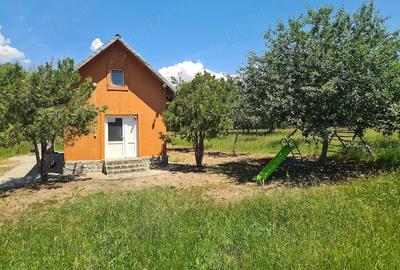 Casă cu Teren 13800 Mp în Obreja
