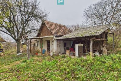 Casă individuală cu 6 camere cu Teren 1234 Mp în Diosig - 3