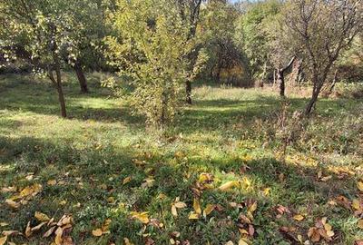 Teren de 6800 mp, în Berislăvești - 7