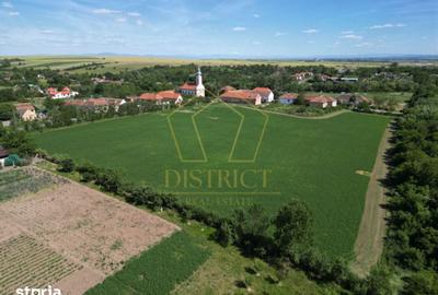 Teren de 16716 mp, în Traian Vuia - 5