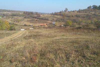 Teren de 4900 mp, în Leamna de Sus - 1