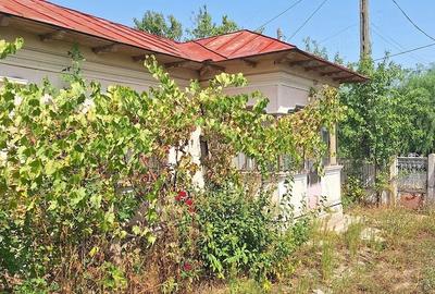 Casă cu 3 camere cu Teren 856 Mp în Socetu - 5