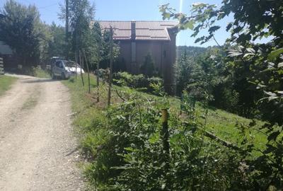 Spațiu comercial, în Bran - 5