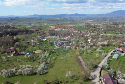 Teren Construcții intravilan de 1646 mp, în Cărbunari - 5