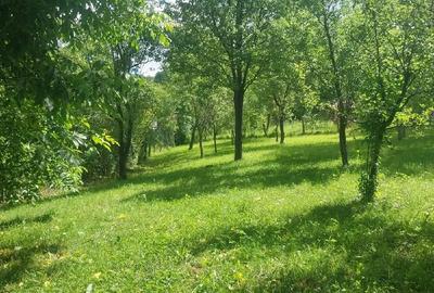 Teren de 1000 mp, în Podul Lung - 4