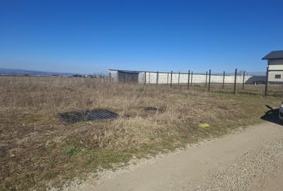 Teren Construcții intravilan de 600 mp, în Tărlungeni - 4