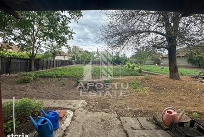 Casă cu 3 camere cu Teren 1339 Mp în Zimandu Nou