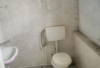 Casă cu Teren 3000 Mp în Checea - 3