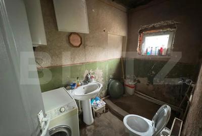 Casă cu 3 camere cu Teren 3088 Mp în Viile Satu Mare - 4