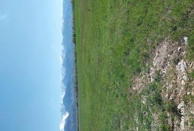 Teren de 27000 mp, în Drăguș