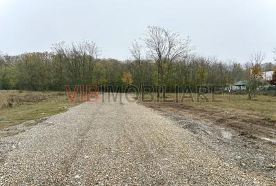 Teren intravilan de 1336 mp, în Ciofliceni - 6
