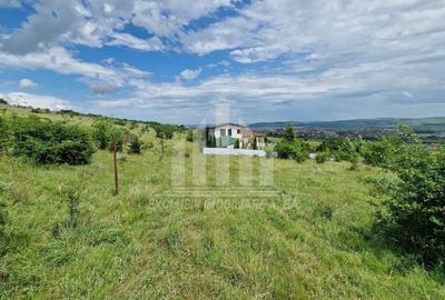 Teren agricol extravilan de 1400 mp, în Pâclișa - 6