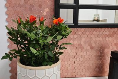 Apartament cu 3 camere în Central - 19