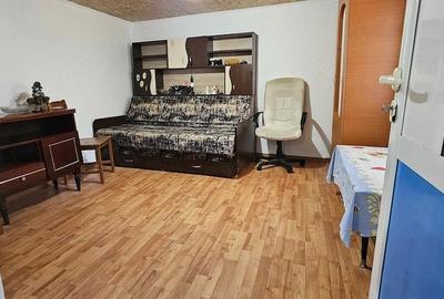 Casă cu 2 camere cu Teren 10000 Mp în Mitrofani