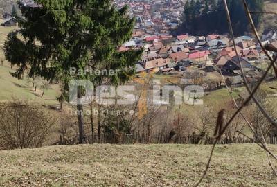 Teren agricol extravilan de 5000 mp, în Rucăr - 1