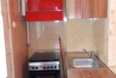Apartament cu 3 camere decomandat în Mărăști - 4