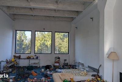 Spațiu comercial, de 800 mp, în Central - 10