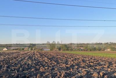 Teren de 3600 mp, în Forăști