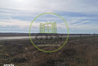 Teren de 21496 mp, în Saca - 2